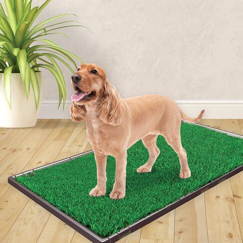 Four Paws Wee-Wee Premium Patch Reusable Pee Pad for Dogs, 1 Count Standard 22" x 23" in Saudi Arabia