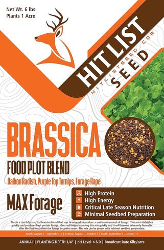 Brassica Food Plot Seeds for Deer - Annual Mix - Daikon Radish, Purple Top Turnips, Forage Brassica - Fall Planting - 3 lbs (1/2 Acre) in Kuwait