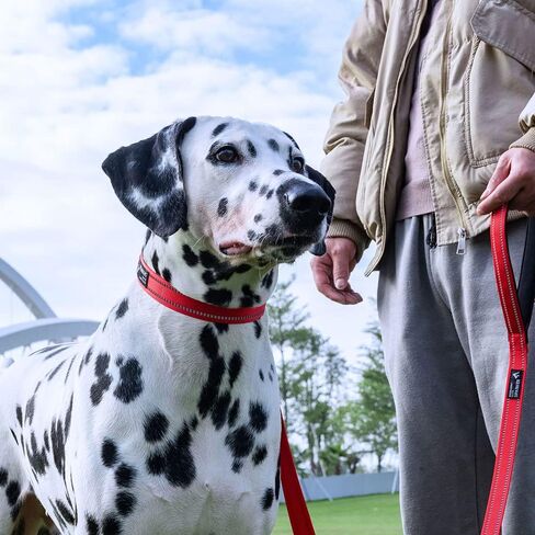 EXCELLENT ELITE SPANKER Reflective Dog Collar Classic Breathable Nylon Adjustable Pet Collar with Quick Release Buckle for Boy Girl Male Female Puppies Small Medium Large Dogs Training(Black-S) in Kuwait