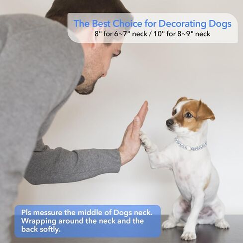 Dog Chain Silver Cuban Collars,Walking Silver Dog Metal Chain Choke Collar with Design Secure Buckle,Pet Cuban Crystal Collar Necklace Accessories for Small Medium Dogs Cats (Sliver-Pink, 10inch) in Kuwait