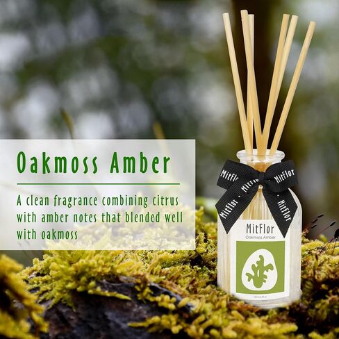Reed Diffuser, MitFlor Oakmoss Amber Fragrance Diffuser Set, Room Freshener with Natural Rattan Sticks, Fresh Scent Oil Diffuser for Bedroom, Bathroom, and Home Décor, 3.4 fl oz in Saudi Arabia