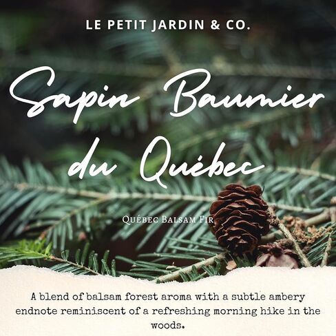 Le Petit Jardin & Co. مجموعة هدايا عطرية معطرة بالزيت والزهور المجففة المحفوظة الحقيقية لمزرعة ريفية ومكتب منزلي وديكور الحمام (بلسم كيبيك التنوب، الخزامى والأوكالبتوس) in Kuwait