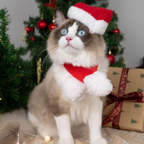 زي زي عيد الميلاد للقطط والكلاب: زي عيد الميلاد للقطط، زي عيد الميلاد لجرو القطط، سترة قطط، ملابس زينة عيد الميلاد للعام الجديد، لوازم حفلات عيد الميلاد، إكسسوارات ملابس الرأس in Kuwait