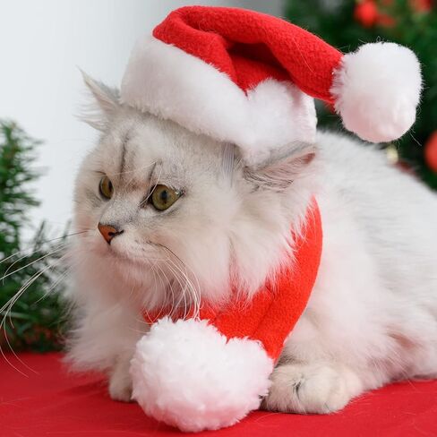 زي زي عيد الميلاد للقطط والكلاب: زي عيد الميلاد للقطط، زي عيد الميلاد لجرو القطط، سترة قطط، ملابس زينة عيد الميلاد للعام الجديد، لوازم حفلات عيد الميلاد، إكسسوارات ملابس الرأس in Kuwait