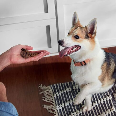 Rachael Ray Nutrish Turkey Bites Dog Treats in Kuwait