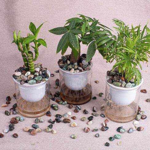 بلورات يشب المحيط المصقولة من SigMntun - 72 قطعة من الأحجار الكريمة الطبيعية المنتقاة بعناية، والحصى للريكي، والشاكرا، والشفاء in Kuwait