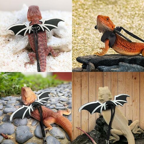 حزام مقود سحلية التنين الملتحي من Waazoorep، حزمة من 3 مقاسات قابلة للتعديل، مقود سحلية من الجلد الناعم للزواحف للبرمائيات والحيوانات الأليفة الصغيرة (ذهبي) in Kuwait