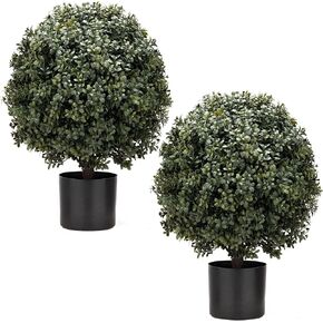 Kissilk 2 Pack Artificial Boxwood Topiary Ball Tree,Bushes Potted Plants UV-Proof Leaves 21" Tall 13" Wide Artificial Potted Shrubs for Home Office Outdoor and Indoor Decor (Dark Green, 22) in Kuwait