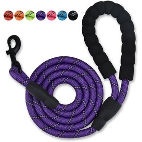Nylon Dog Leash with Padded Handle,5 FT Length Dog Leash for Daily Walking and Training,Fit for Medium Large Dogs.(5 FT,Modern Violet)