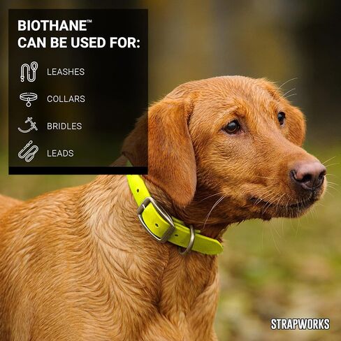 Strapworks BioThane Beta Series Coated Webbing, 1 Inch x 5 Yards, Black in Kuwait