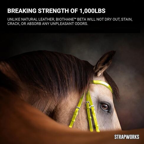 Strapworks BioThane Beta Series Coated Webbing, 1 Inch x 5 Yards, Black in Kuwait