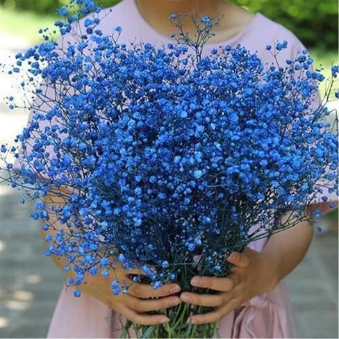 beerfingo Dried-Flowers-Babys-Breath-Bouquet-17.2 inch 2500+ Flowers, Natural Gypsophila Branches for Home Decor, Wedding, Table Decor, DIY Wreath Floral, Dry Flowers Bulk for Vase (Ink Blue) in Kuwait
