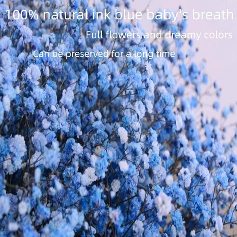 beerfingo Dried-Flowers-Babys-Breath-Bouquet-17.2 inch 2500+ Flowers, Natural Gypsophila Branches for Home Decor, Wedding, Table Decor, DIY Wreath Floral, Dry Flowers Bulk for Vase (Ink Blue) in Kuwait
