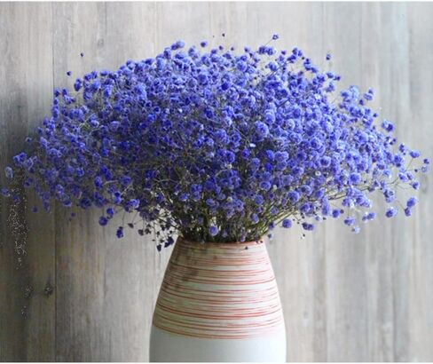beerfingo Dried-Flowers-Babys-Breath-Bouquet-17.2 inch 2500+ Flowers, Natural Gypsophila Branches for Home Decor, Wedding, Table Decor, DIY Wreath Floral, Dry Flowers Bulk for Vase (Ink Blue) in Kuwait