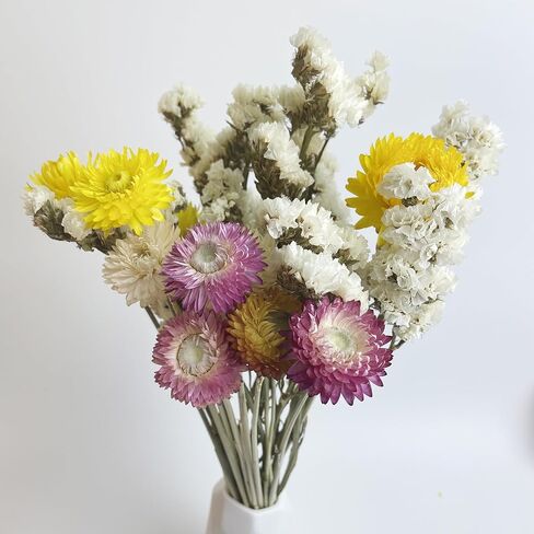 L'BREVOGA Dried Flowers with Stem, 36 PCS Strawflower Daisy in 16 inches, Dried Flower for Floral Arrangments Home Decoration (Strawflower Mix) in Saudi Arabia