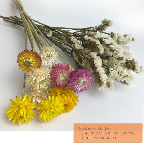 L'BREVOGA Dried Flowers with Stem, 36 PCS Strawflower Daisy in 16 inches, Dried Flower for Floral Arrangments Home Decoration (Strawflower Mix) in Saudi Arabia