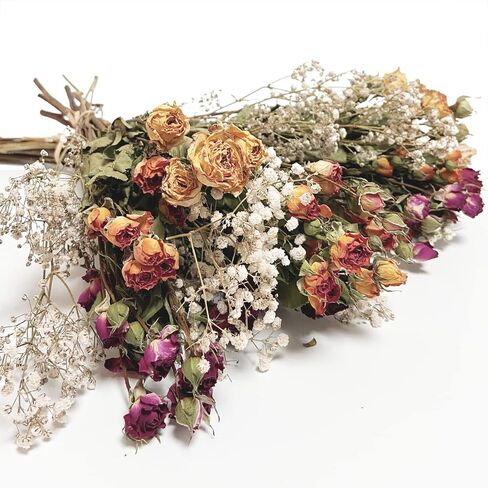 L'BREVOGA Dried Flowers with Stem, 36 PCS Strawflower Daisy in 16 inches, Dried Flower for Floral Arrangments Home Decoration (Strawflower Mix) in Saudi Arabia
