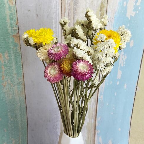 L'BREVOGA Dried Flowers with Stem, 36 PCS Strawflower Daisy in 16 inches, Dried Flower for Floral Arrangments Home Decoration (Strawflower Mix) in Saudi Arabia