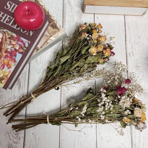 L'BREVOGA Dried Flowers with Stem, 36 PCS Strawflower Daisy in 16 inches, Dried Flower for Floral Arrangments Home Decoration (Strawflower Mix) in Saudi Arabia