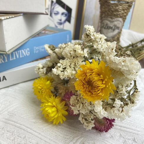 L'BREVOGA Dried Flowers with Stem, 36 PCS Strawflower Daisy in 16 inches, Dried Flower for Floral Arrangments Home Decoration (Strawflower Mix) in Saudi Arabia