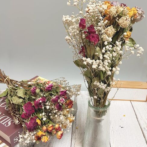 L'BREVOGA Dried Flowers with Stem, 36 PCS Strawflower Daisy in 16 inches, Dried Flower for Floral Arrangments Home Decoration (Strawflower Mix) in Saudi Arabia