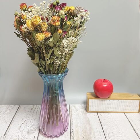 L'BREVOGA Dried Flowers with Stem, 36 PCS Strawflower Daisy in 16 inches, Dried Flower for Floral Arrangments Home Decoration (Strawflower Mix) in Saudi Arabia