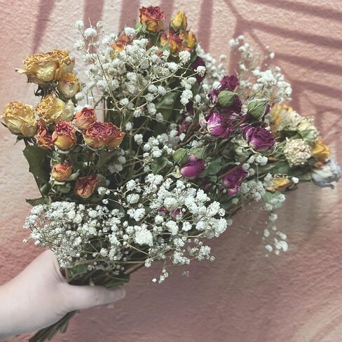 L'BREVOGA Dried Flowers with Stem, 36 PCS Strawflower Daisy in 16 inches, Dried Flower for Floral Arrangments Home Decoration (Strawflower Mix) in Saudi Arabia
