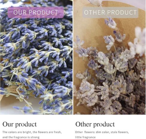MIHUAGE حزم زهور اللافندر المجففة الحقيقية 100٪ ديكور زهور جافة طبيعية لديكورات المنزل 2 حزم حزمة 300+ ينبع 17 "(أرجواني) in Kuwait