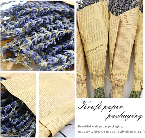 MIHUAGE حزم زهور اللافندر المجففة الحقيقية 100٪ ديكور زهور جافة طبيعية لديكورات المنزل 2 حزم حزمة 300+ ينبع 17 "(أرجواني) in Kuwait