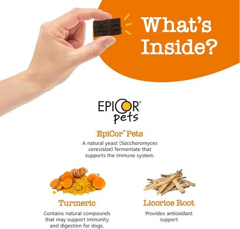 مضغ ناعم بنكهة زيستي باوز - مسبب للحساسية للكلاب مع جذر عرق السوس والكركم ومكملات ألياف EpiCor الفاخرة للكلاب لدعم حساسية حبوب اللقاح الموسمية وتعزيز جهاز المناعة للحيوانات الأليفة، 10 أونصة in Kuwait