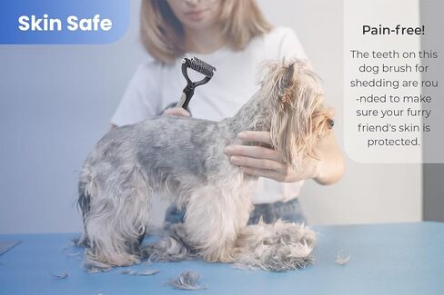 أداة العناية بالحيوانات الأليفة الاحترافية من PETACARE® ذات وجهين من المعطف السفلي للكلاب والقطط وفرشاة مشط للحيوانات الأليفة (رمادي) in Saudi Arabia