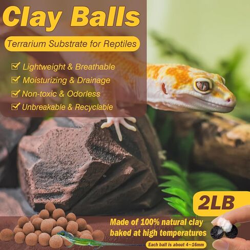 ZeeDix 2 LBS Leca Clay Balls for Reptile & Terrarium Substrate in Kuwait