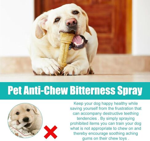 Bitter Apple Spray for Dogs to Stop Chewing, No Chew Spray for Dogs, Pet Corrector Spray, Effective Anti Scratch Furniture Protector, Alcohol Free/Non-Toxic & No Smell - Indoor & Outdoor Safe 50ML in Kuwait