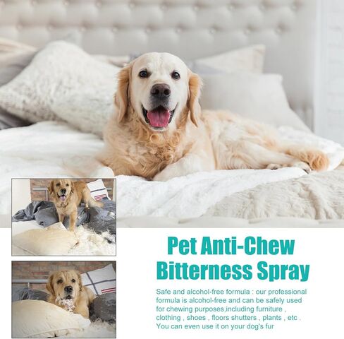 Bitter Apple Spray for Dogs to Stop Chewing, No Chew Spray for Dogs, Pet Corrector Spray, Effective Anti Scratch Furniture Protector, Alcohol Free/Non-Toxic & No Smell - Indoor & Outdoor Safe 50ML in Kuwait