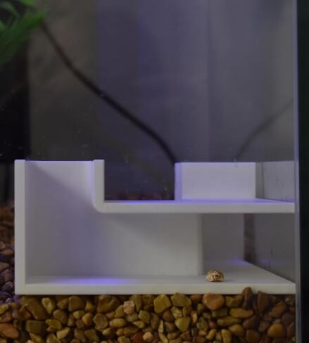Chatelet Aquarium Underground Tunnel | Fish & Shrimp Hideout for Aquariums | Unique Underground Viewing Tunnel | Made in USA (Corner Tunnel, Black) in Kuwait