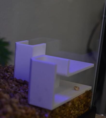 Chatelet Aquarium Underground Tunnel | Fish & Shrimp Hideout for Aquariums | Unique Underground Viewing Tunnel | Made in USA (Corner Tunnel, Black) in Kuwait