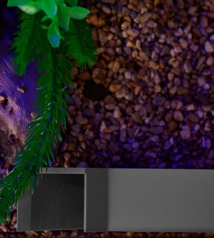 Chatelet Aquarium Underground Tunnel | Fish & Shrimp Hideout for Aquariums | Unique Underground Viewing Tunnel | Made in USA (Corner Tunnel, Black) in Kuwait