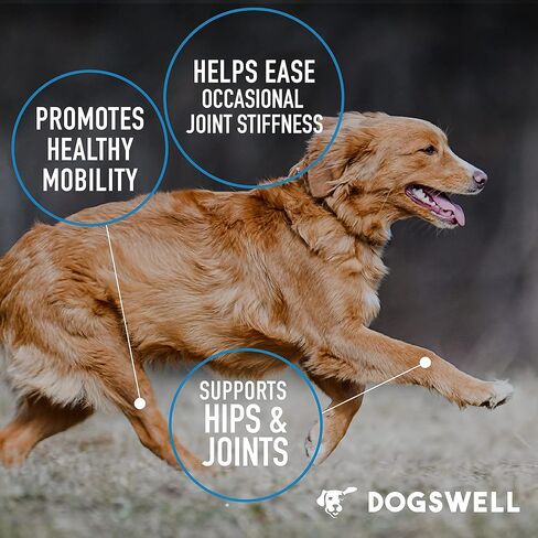 DOGSWELL Hip and Joint Supplement for Dogs - Soft Chews with Glucosamine, Chondroitin, MSM, Boswellia & Turmeric, 1 Pound in Kuwait