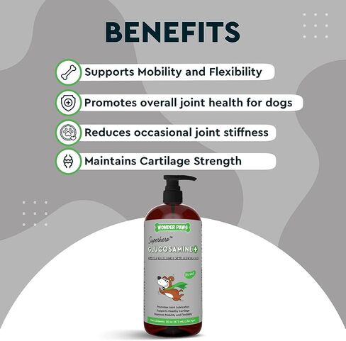 Premium Liquid Glucosamine for Dogs – Extra Strength Joint Support, Flexibility, Cartilage & Mobility - Hip and Joint Supplement with Chondroitin, MSM, Collagen & Hyaluronic Acid - All Ages (16 oz) in Saudi Arabia