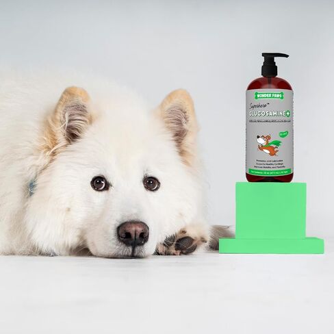 Premium Liquid Glucosamine for Dogs – Extra Strength Joint Support, Flexibility, Cartilage & Mobility - Hip and Joint Supplement with Chondroitin, MSM, Collagen & Hyaluronic Acid - All Ages (16 oz) in Saudi Arabia