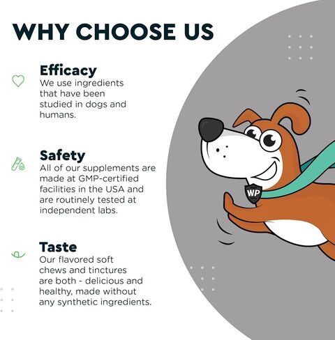 Premium Liquid Glucosamine for Dogs – Extra Strength Joint Support, Flexibility, Cartilage & Mobility - Hip and Joint Supplement with Chondroitin, MSM, Collagen & Hyaluronic Acid - All Ages (16 oz) in Saudi Arabia