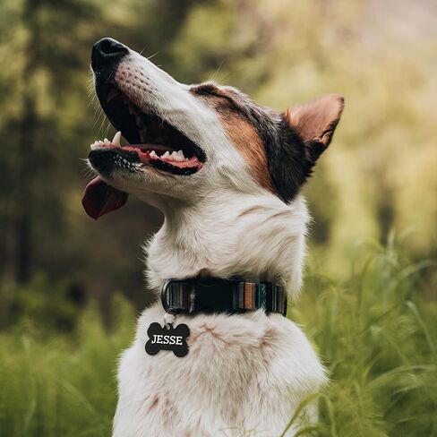 علامات تعريف الكلاب GoTags، علامات تعريف مخصصة للكلاب والقطط منقوشة للحيوانات الأليفة، منقوشة خصيصًا على كلا الجانبين، فولاذ مقاوم للصدأ، فولاذ قوس قزح، فولاذ أسود أو نحاس صلب، علامات تعريف للكلاب على شكل عظمة (حزمة من 1) in Kuwait