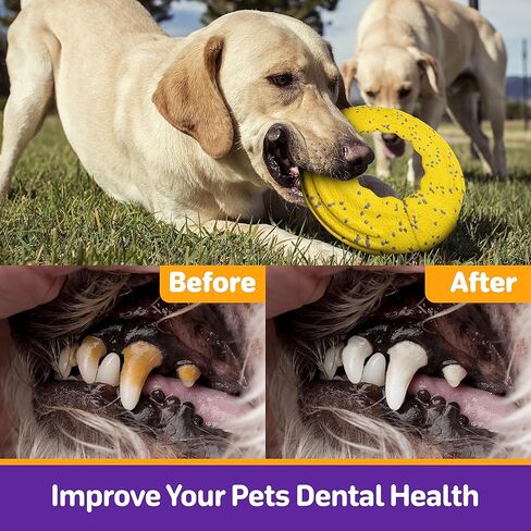 كرات تنس من كيمي دوج فيتش تويز، قطعتان، قرص طائر للكلاب غير قابل للتدمير، خفيف الوزن، عالي الطيران الديناميكي لمسافات طويلة، قابل للطفو، لعبة كلب عالية الارتداد للجلب، شد الحبل، اللعب، أبيض 9.5 بوصة in Kuwait