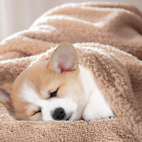 بطانية أطفال من الصوف من بيرتي شيربا للأولاد والبنات | بطانيات قطيفة لاستقبال القماط فائقة النعومة ودافئة وخفيفة الوزن ومسامية لعربة الأطفال الرضع - مقاس 33 بوصة × 43 بوصة، رمادي داكن in Kuwait