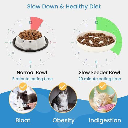 Iunpvet Ceramic Cat Slow Feeder Food Bowl, Higher Edges Non-Spill Design Fun Cat Puzzle Feeder Bowl, Anti Vomiting Anti Gulping Healthy Eating Diet Pet Bowls for Small Pets(Ceramic+Circular+White) in Saudi Arabia