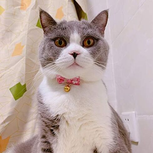 PetSoKoo طوق ربطة عنق للقطط مع جرس. اليابان نمط زهرة زهر الكرز in Kuwait