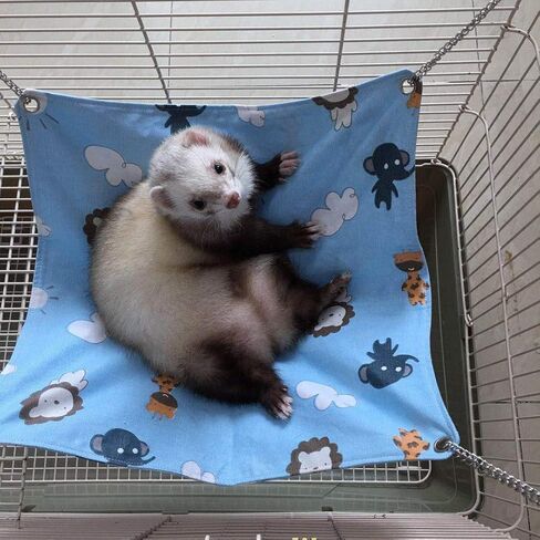 Ferret Cat Hammock Bed for Cage 100% Handmade Pet Canvas Hammocks for Small Animals, Kitten, Guinea Pig, Bunny, Rabbit, Rat Comfortable Hanging Bed, Soft Sleepy Mat Pad for Sleeping and Resting in Saudi Arabia
