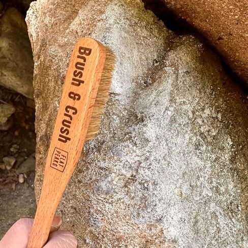 Flat Peaks - Brush & Crush Wood Rock Climbing & Bouldering Brush with Firm Boar's Hair Bristles and Durable Handle, Climbing Chalk Brush for Climbing Wall Indoor or Outdoor in Saudi Arabia