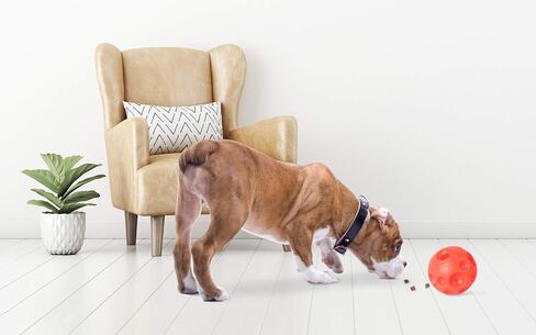 Omega Paw Tricky Treat Ball, Large in Saudi Arabia