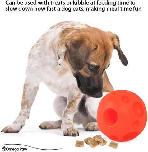 Omega Paw Tricky Treat Ball, Large in Saudi Arabia